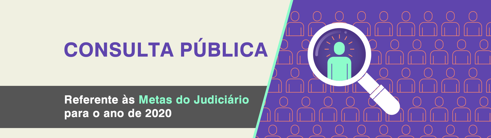 Consulta Pública